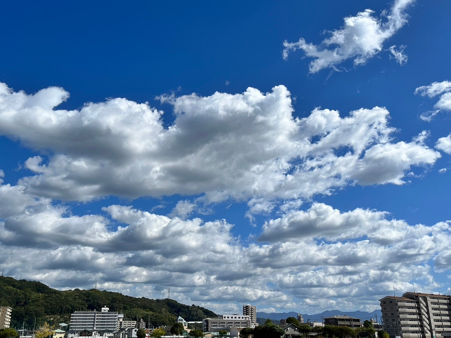 サービス1